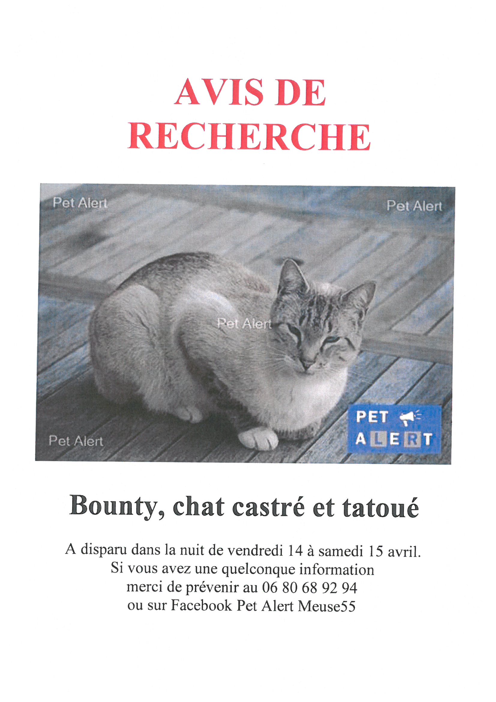 Avis chat online Avis chat online